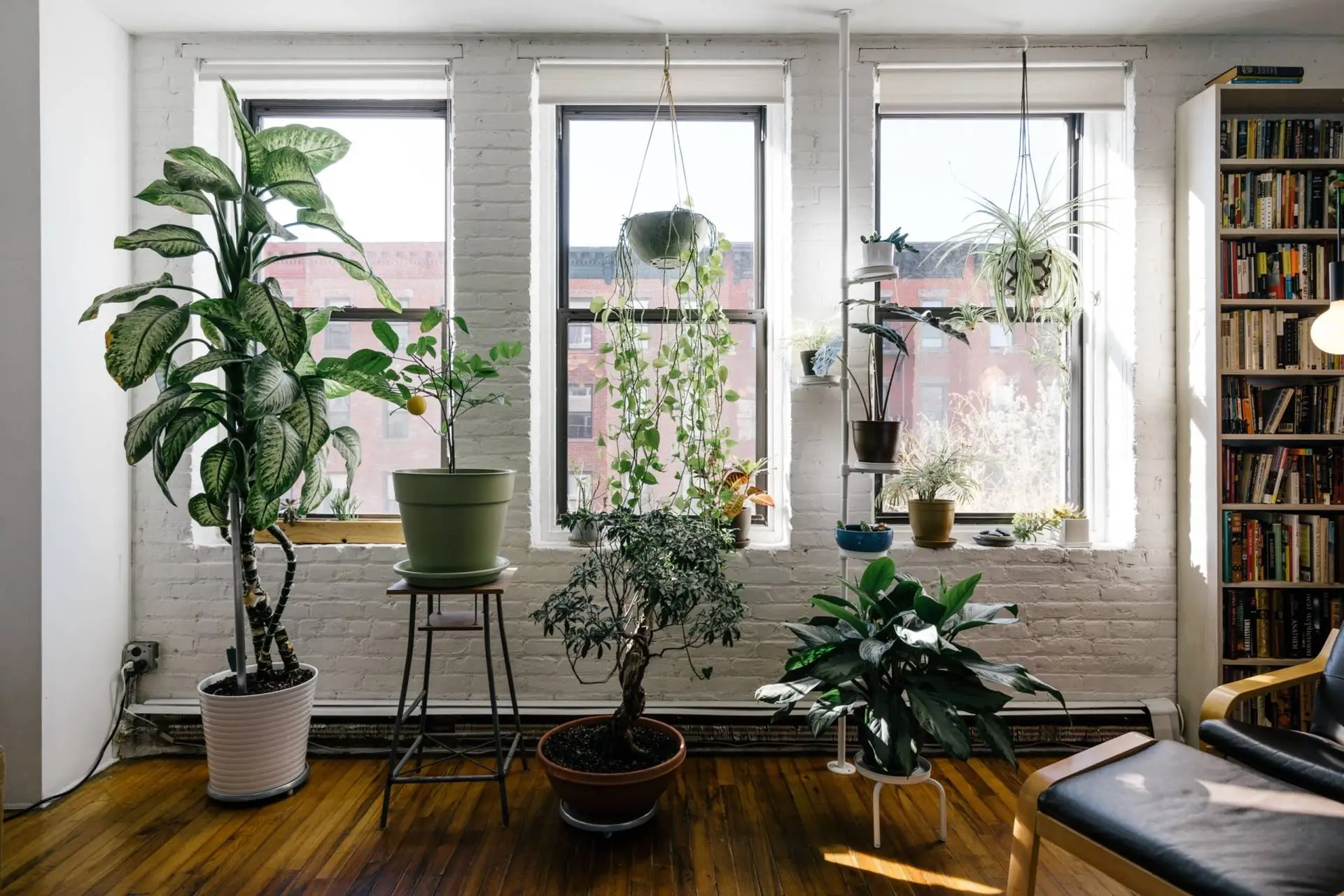 Trattamenti indoor per la qualità dell'aria negli ambienti interni